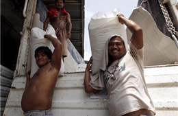 Campuchia có thể xuất khẩu gạo hàng đầu thế giới 